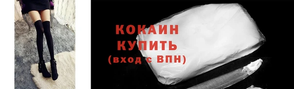 стафф Арсеньев
