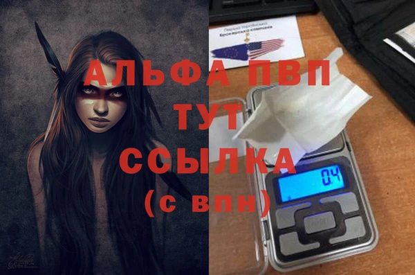 стафф Арсеньев