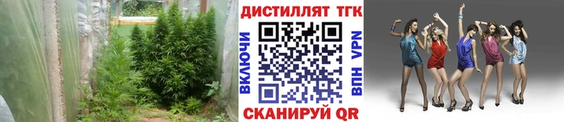 Дистиллят ТГК концентрат Инта
